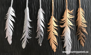 feather-extra-3912530